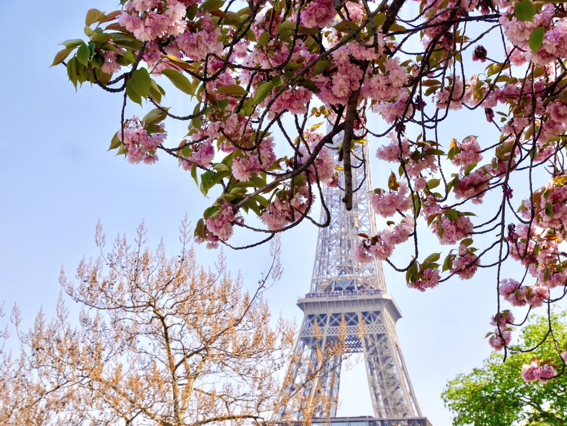 パリに来たら絶対行きたい エッフェル塔を色んな角度から撮ってみた よしだより 吉田佐和子オフィシャルブログ